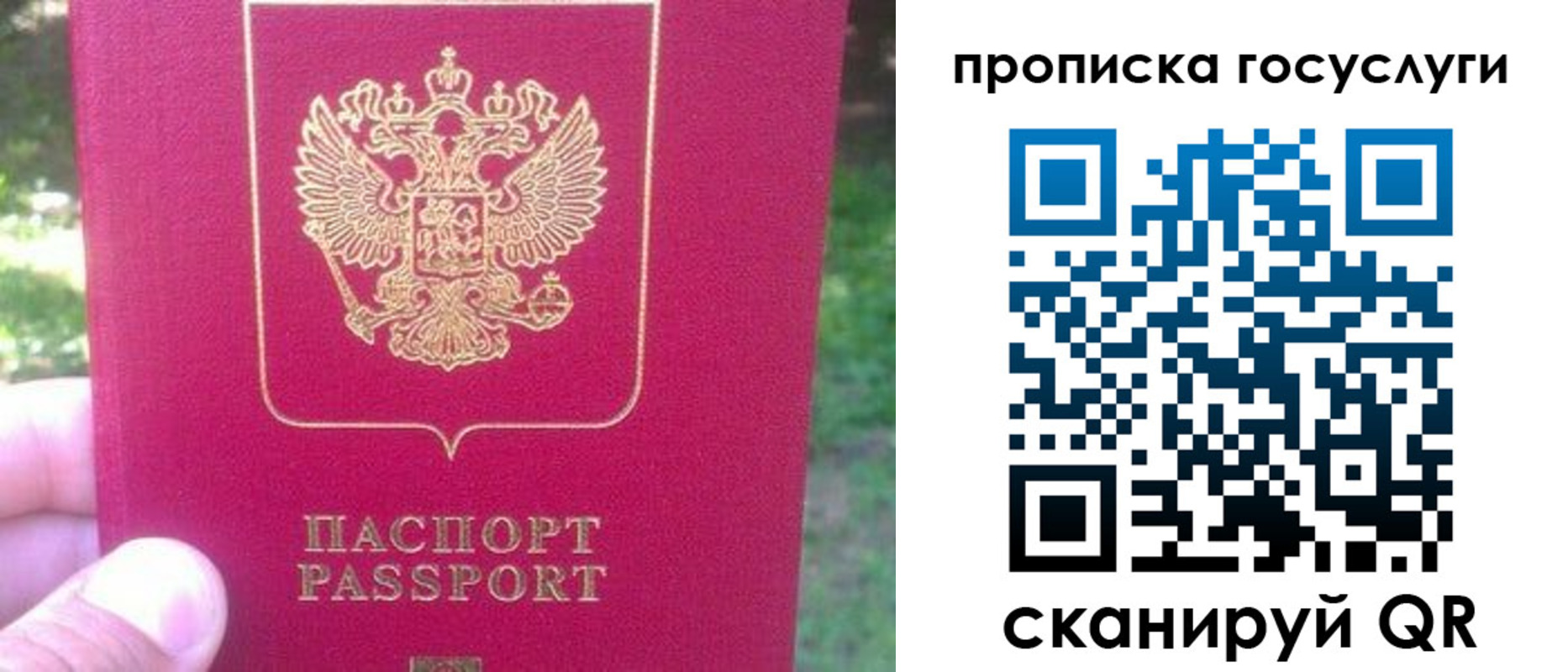 временная регистрация собственник в Читинской области